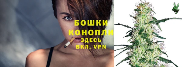 хмурый Арсеньев