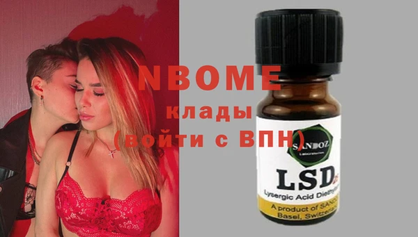 хмурый Арсеньев
