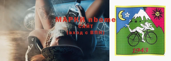 хмурый Арсеньев