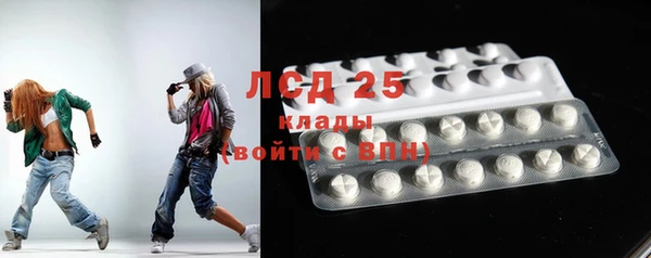 хмурый Арсеньев