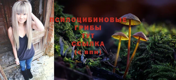 хмурый Арсеньев