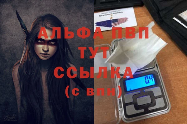 хмурый Арсеньев