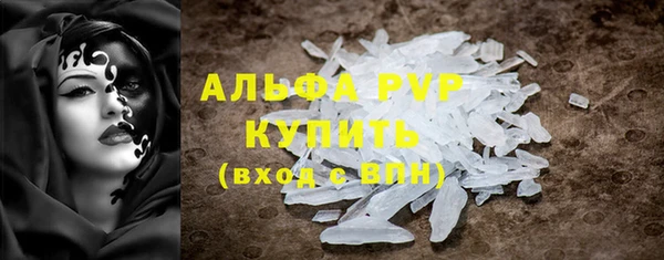 хмурый Арсеньев